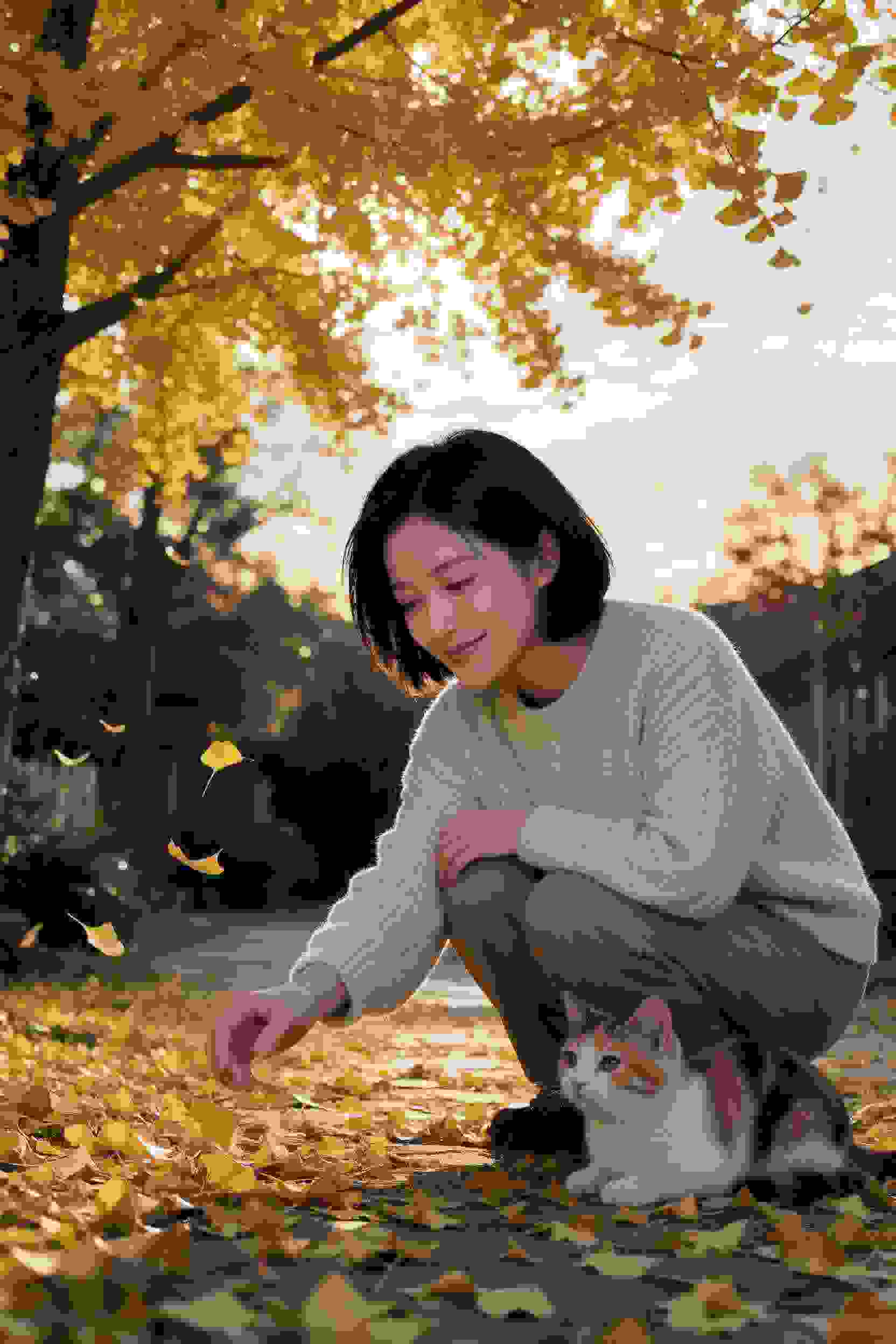 短剧《半糖恋人》封面
